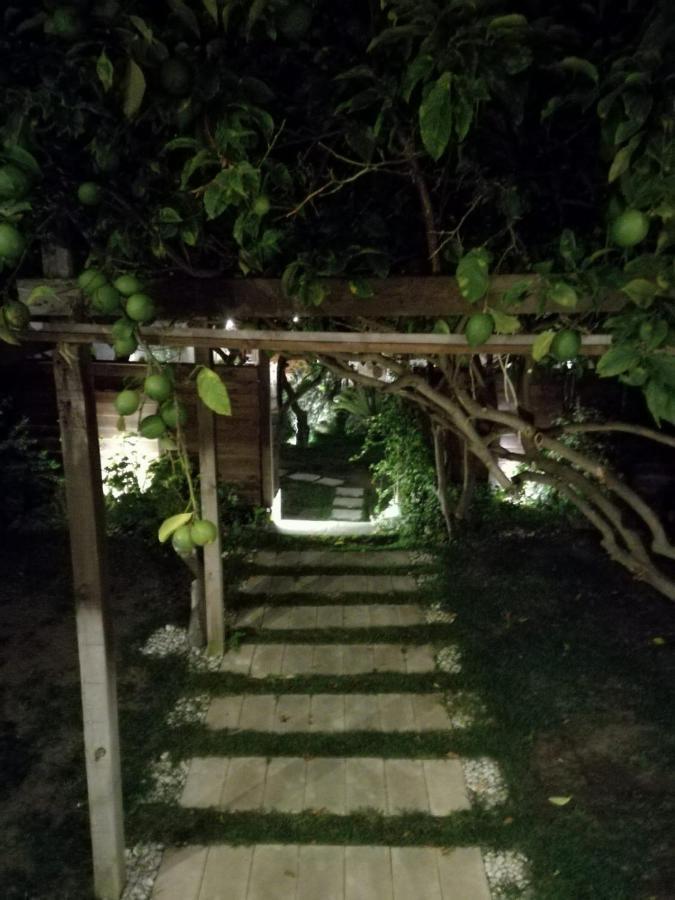 トッレ・アンヌンツィアータLa Casa Di Marcelloアパートメント エクステリア 写真